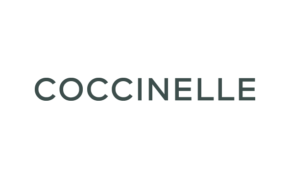 2024_11_bf_Coccinelle