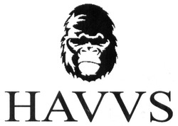HAVVS-bf21