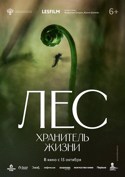 Лес. Хранитель жизни