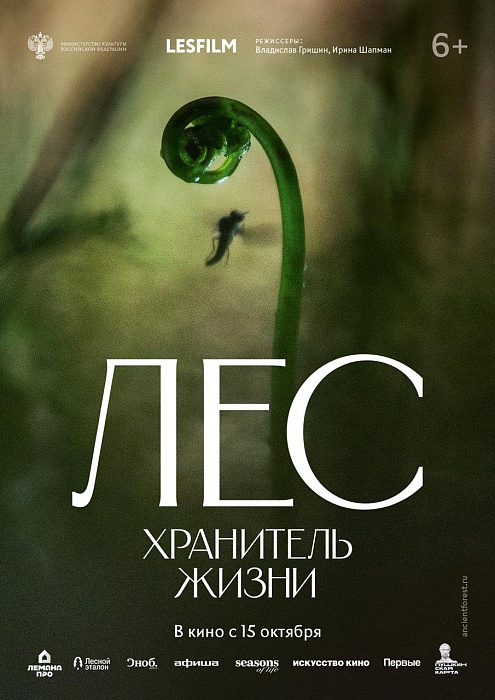 Лес. Хранитель жизни